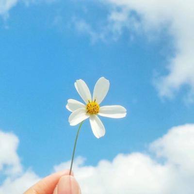 南宫28在线注册网站